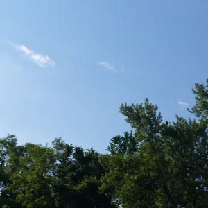 荒唐的山区TXT小说下载
