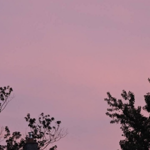 荒唐的山区TXT小说下载
