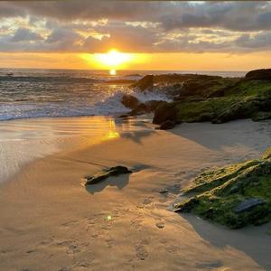 荒唐的山区TXT小说下载
