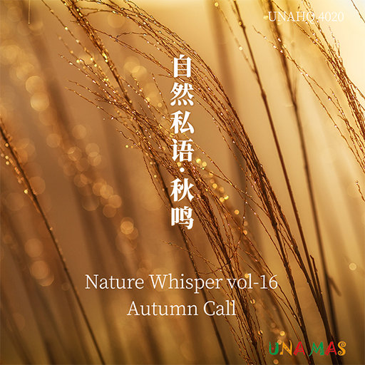 荒唐的山区TXT小说下载
