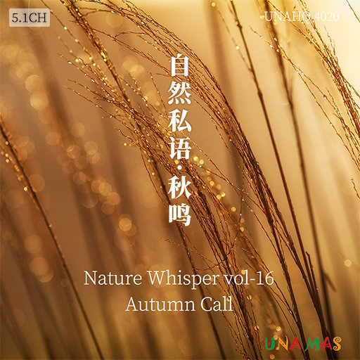 荒唐的山区TXT小说下载
